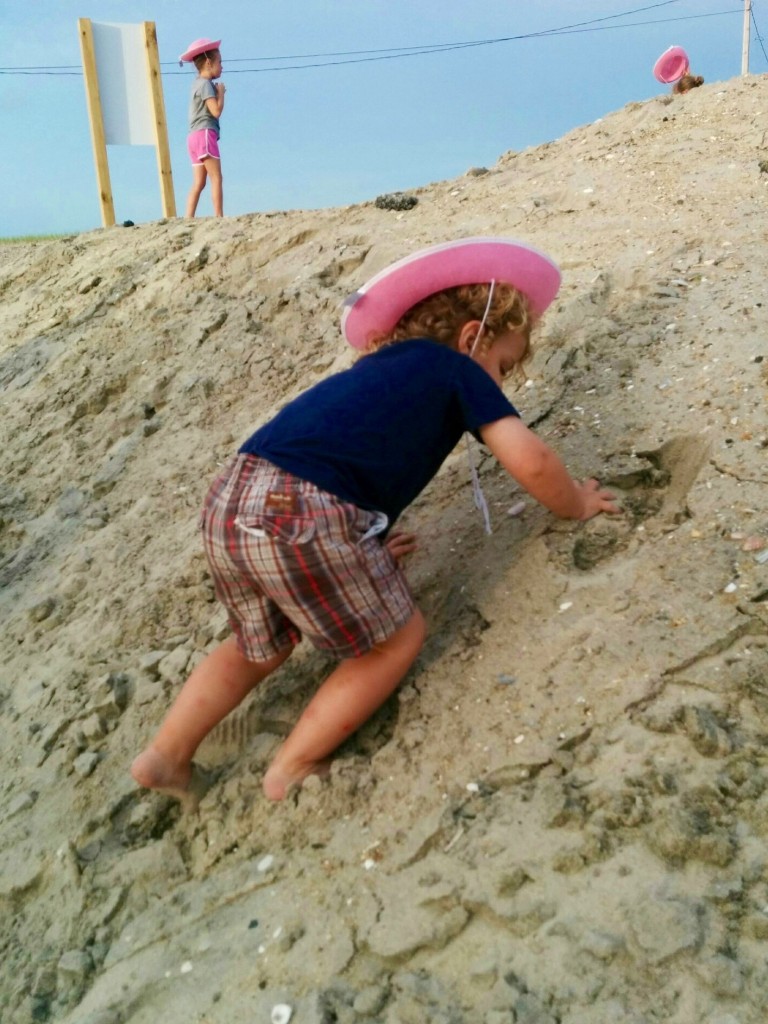 IMG_20150803_191324 (1)