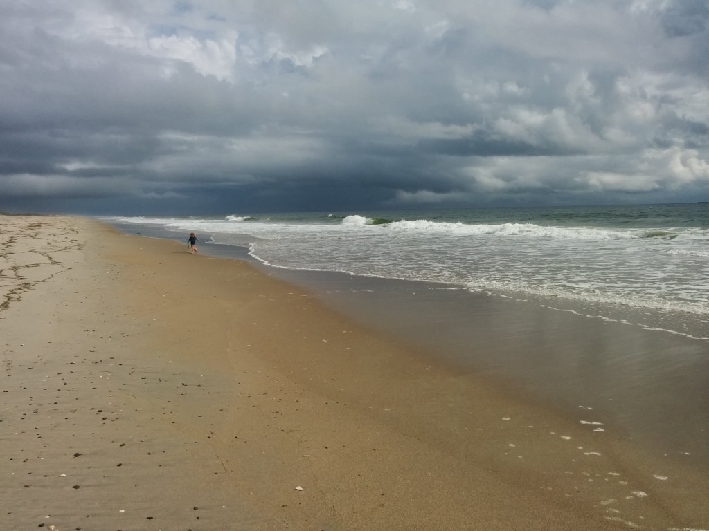 IMG_20150808_095639 (1)