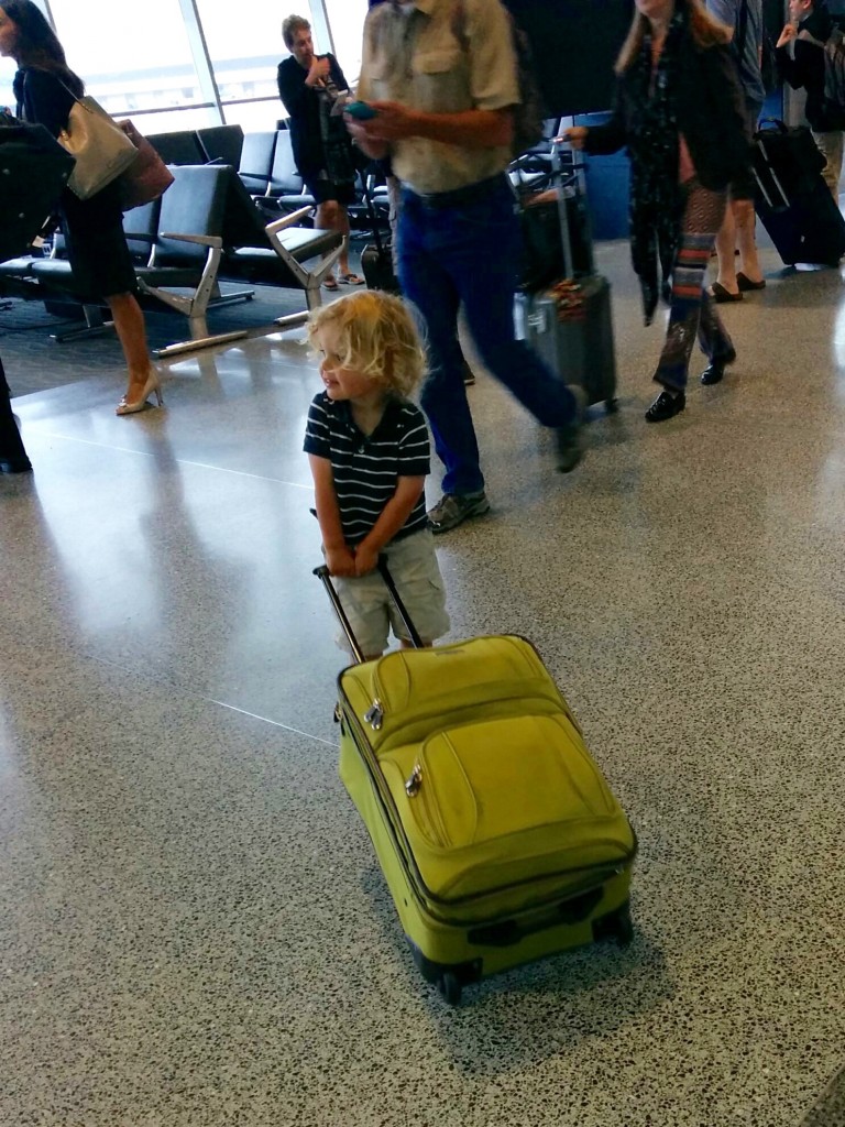 IMG_20150811_120022 (1)