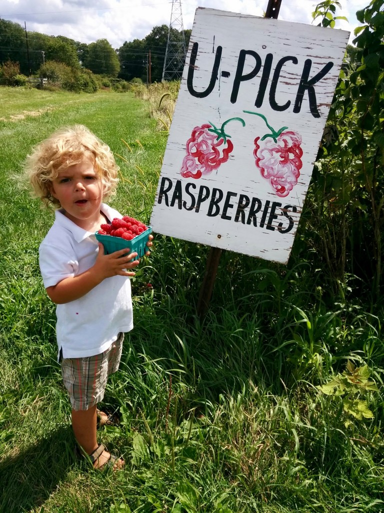 IMG_20150820_113855 (1)