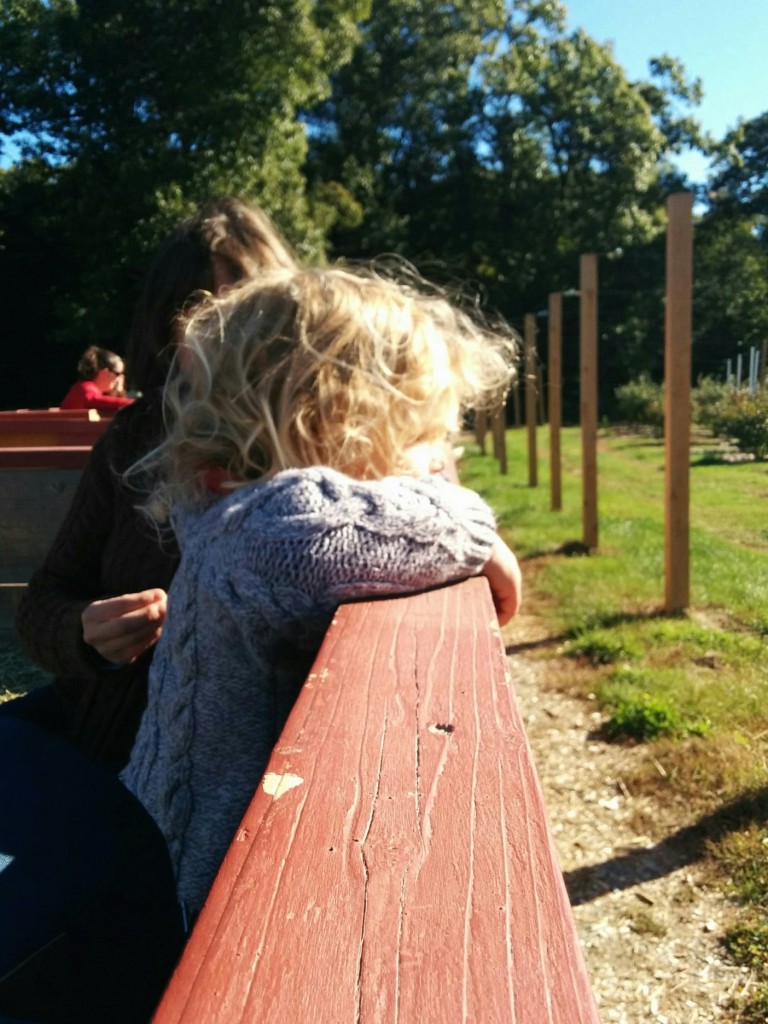 IMG_20151010_100357 (1)