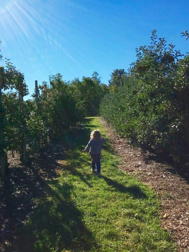 IMG_20151010_101610 (1)