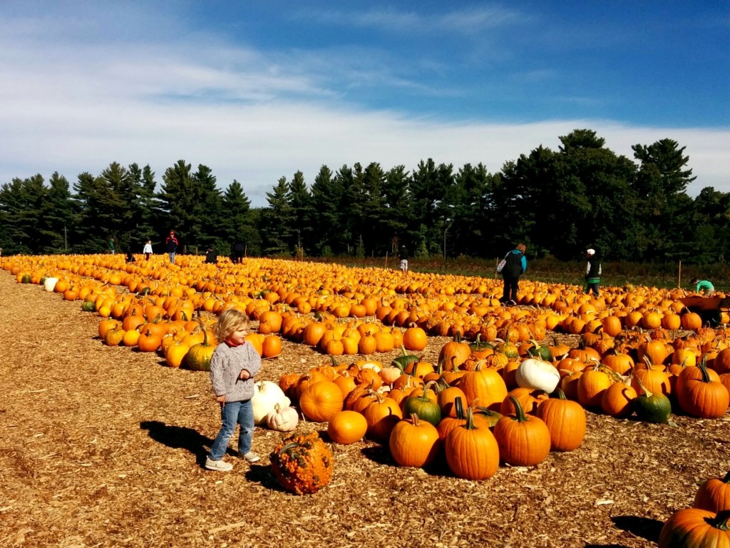 IMG_20151010_105556 (1)