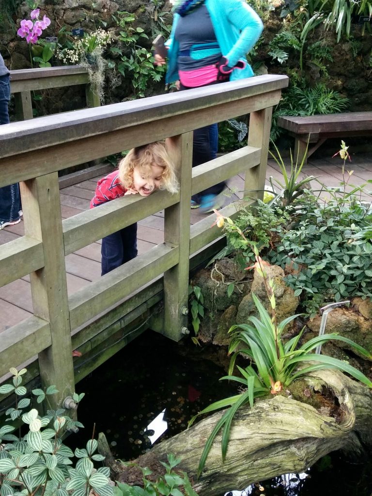 IMG_20160101_112020 (1)