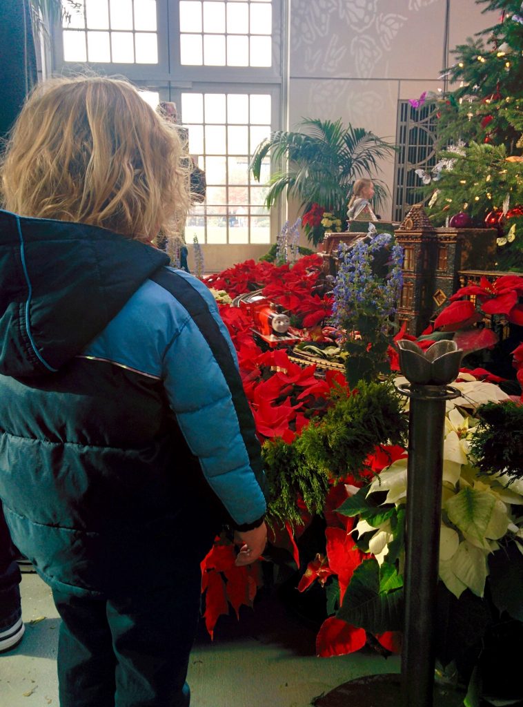 IMG_20160101_120819 (1)